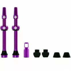 COPPIA VALVOLA TUBELESS MUC-OFF 60MM